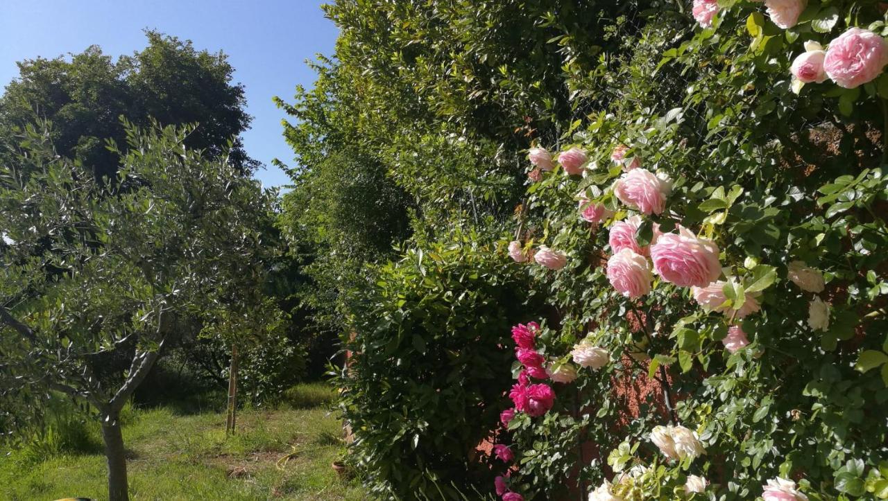 La Merla Perugia Dış mekan fotoğraf